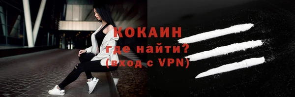 МДПВ Вяземский