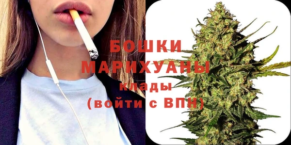 МДПВ Вяземский