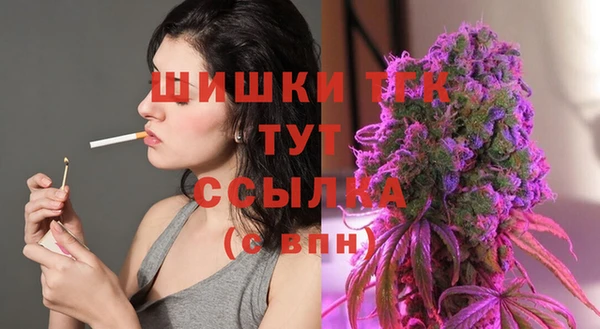 дживик Тавда