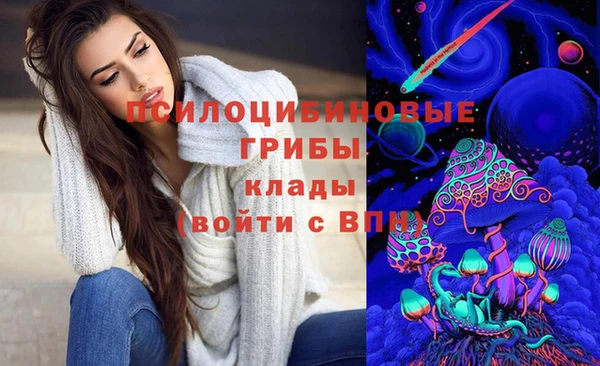 МДПВ Вяземский